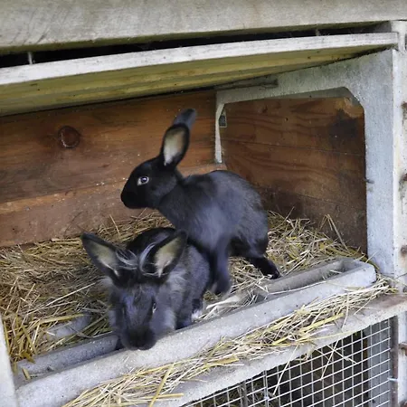 Lantställe La Maison Du Bonheur 