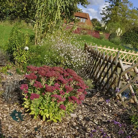 La Maison Du Bonheur 