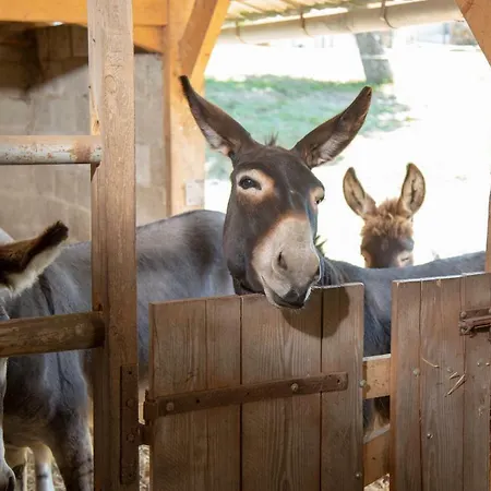 Lantställe La Maison Du Bonheur 