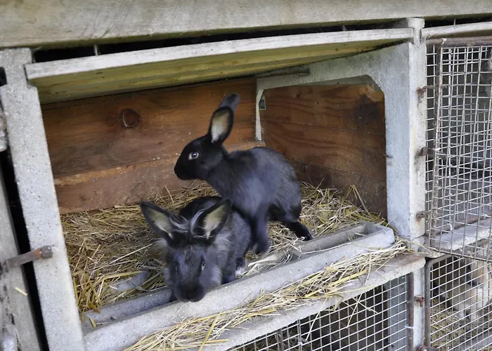 Country house La Maison Du Bonheur 