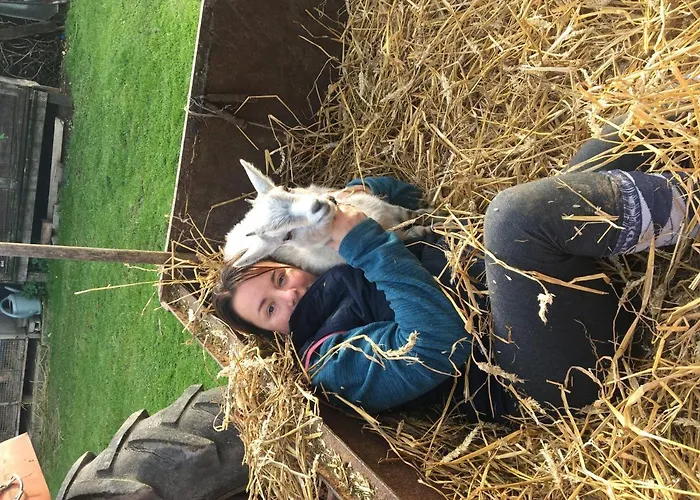 Country house La Maison Du Bonheur 