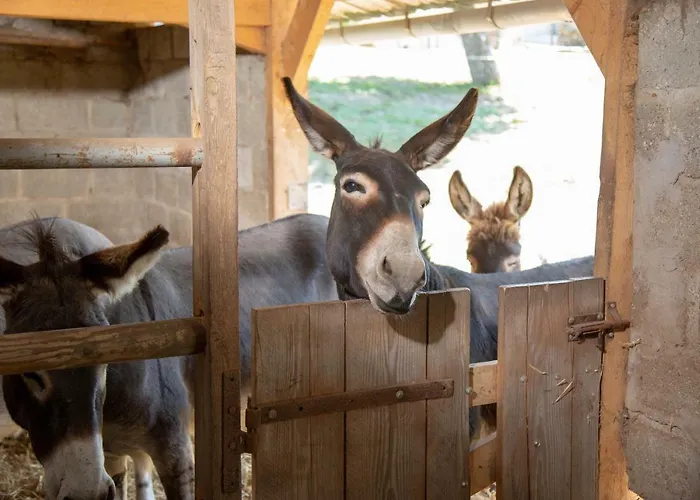 Country house La Maison Du Bonheur 